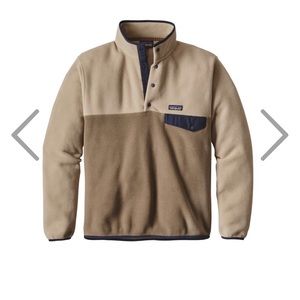 Patagonia Men's Pullover